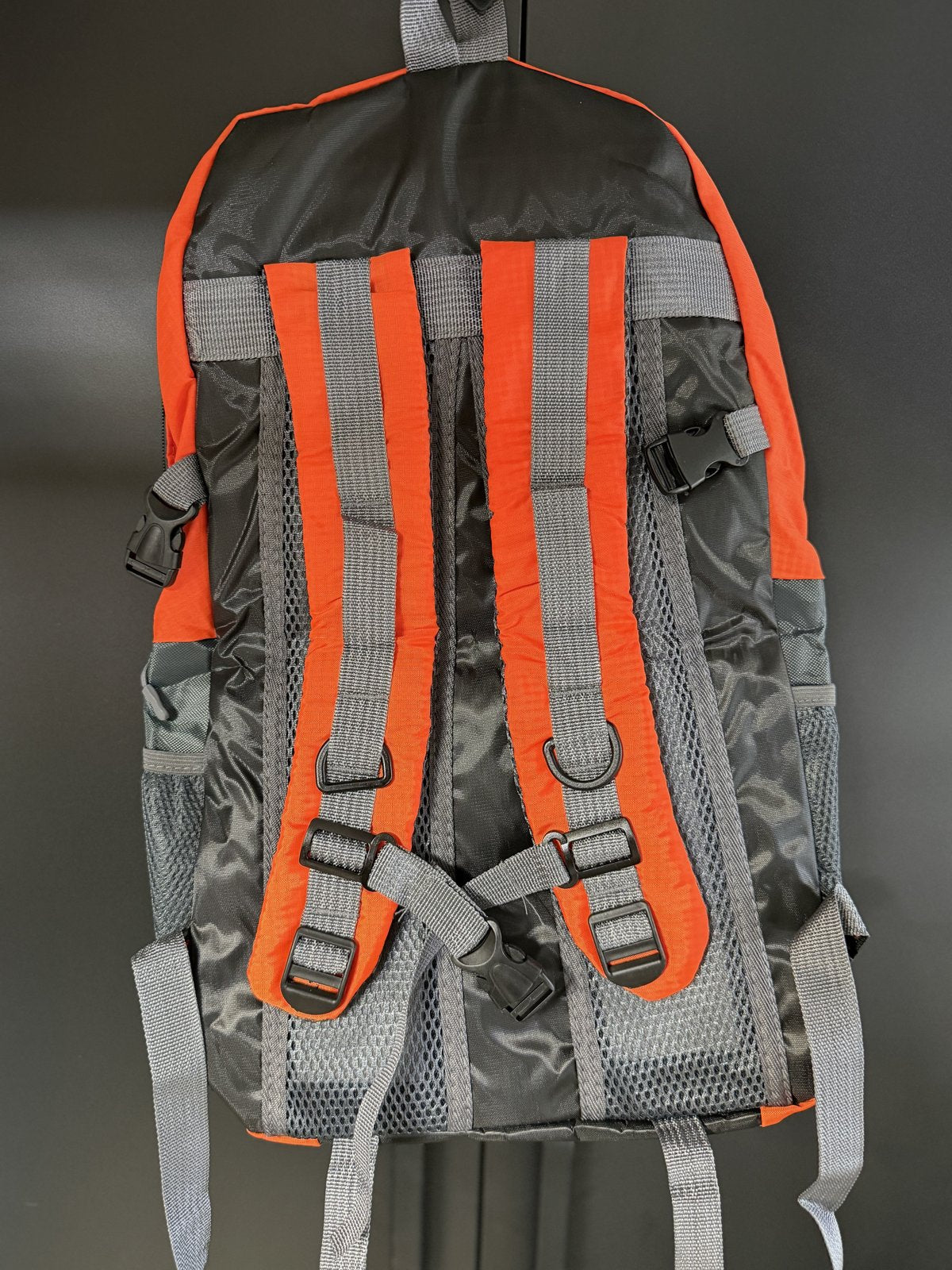 Trail Daypack 36L orange, back