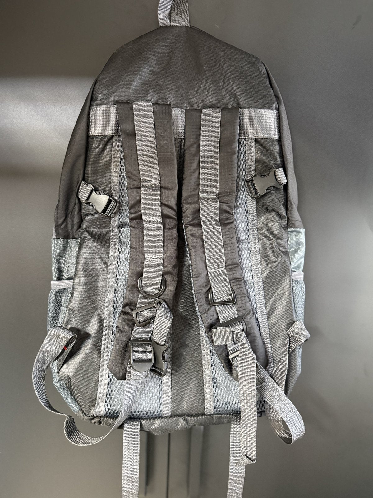 Trail Daypack 36L black, back